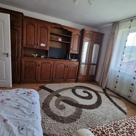 Garsoniera Emilia Apartment Câmpulung Moldovenesc Exterior photo