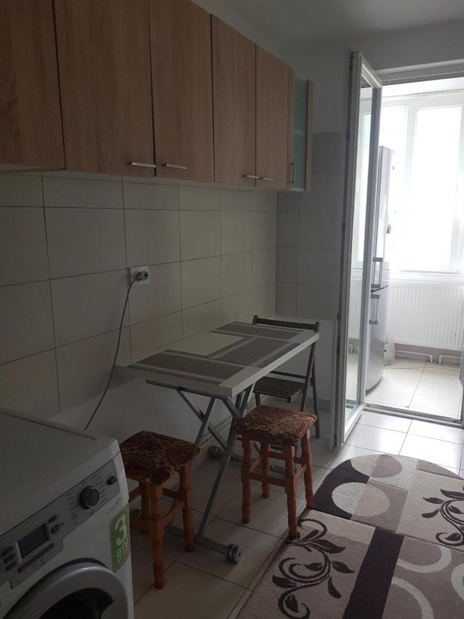 Garsoniera Emilia Apartment Câmpulung Moldovenesc Exterior photo