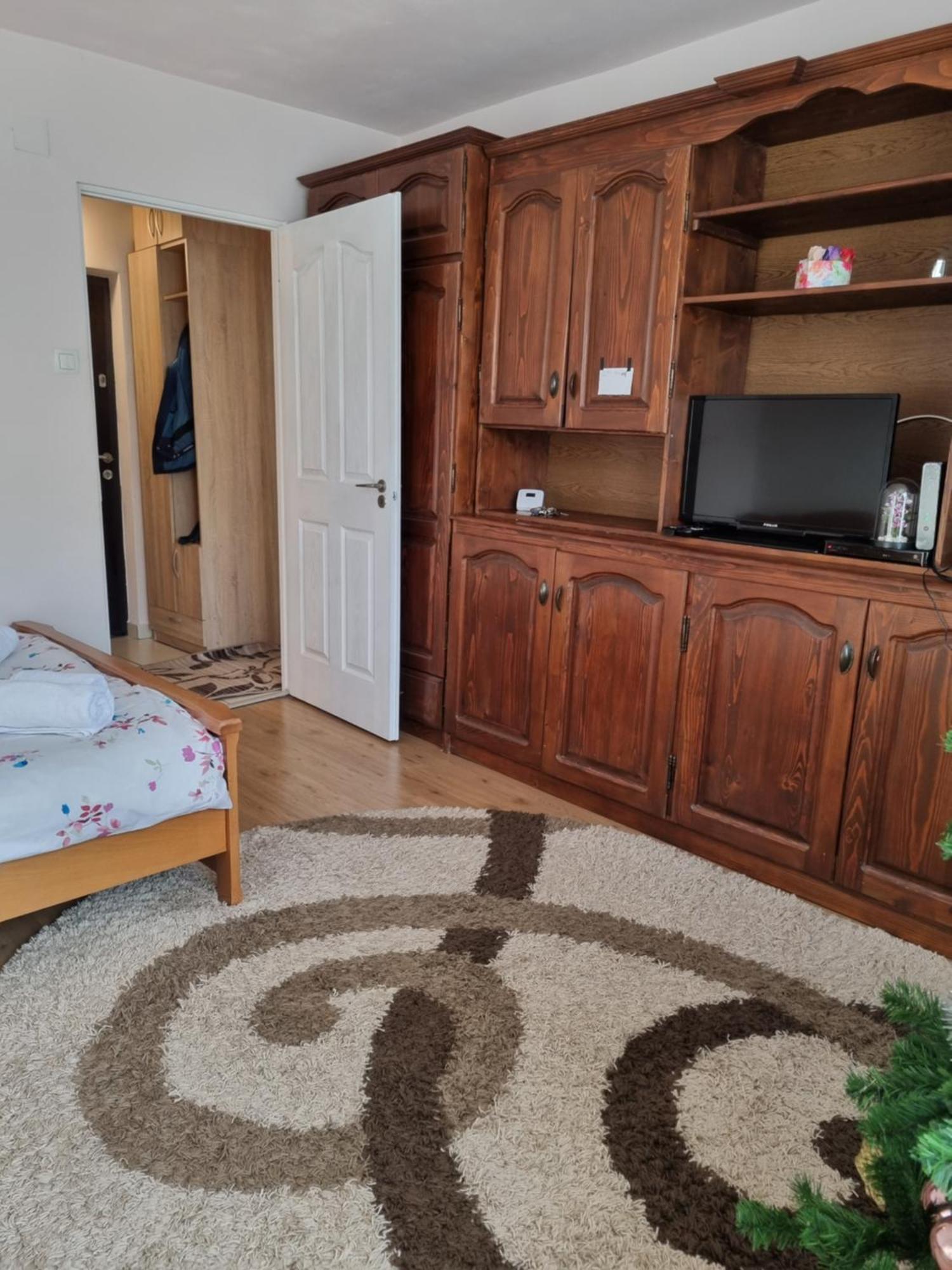 Garsoniera Emilia Apartment Câmpulung Moldovenesc Exterior photo